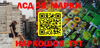 a pvp Донской