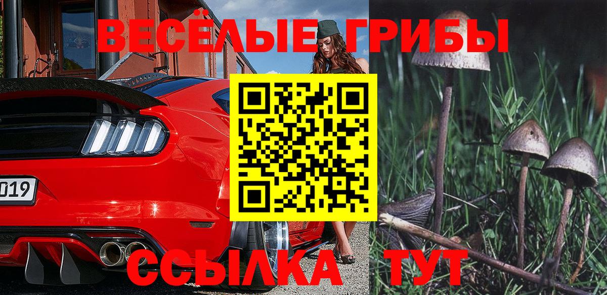 Галлюциногенные грибы Psilocybine cubensis  Вход с VPN  Нефтеюганск 